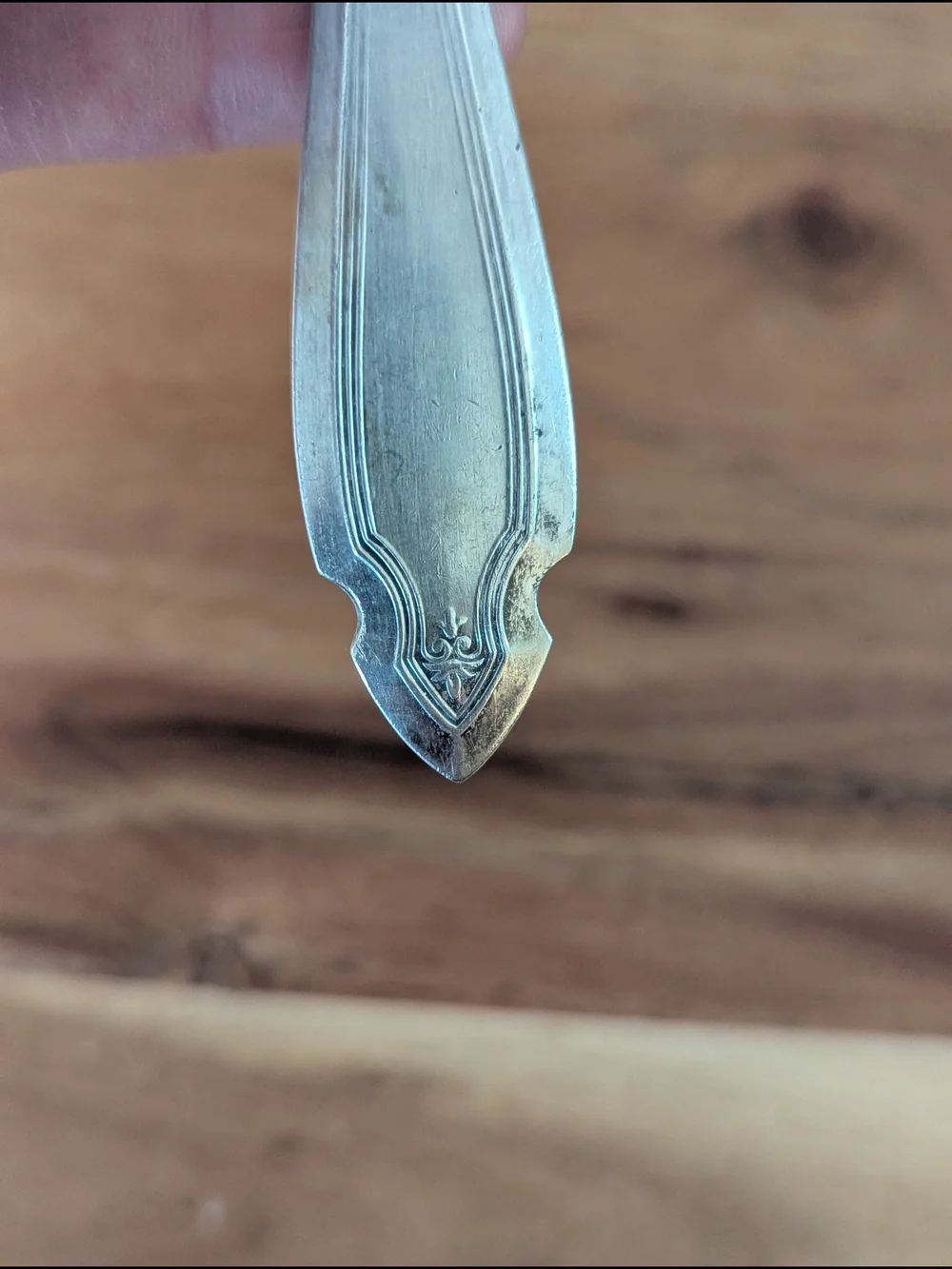 Oneida Heirloom Pierced Tomato Server Slotted Round Spoon